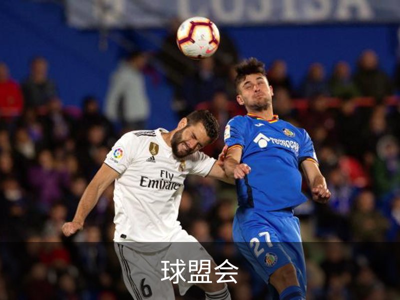 球盟会介绍